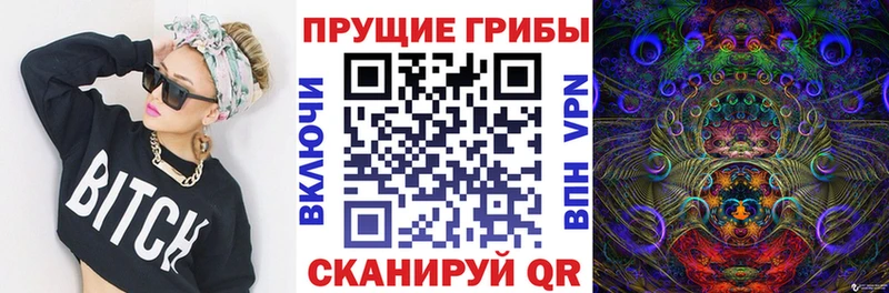 Псилоцибиновые грибы Psilocybe  Торопец 