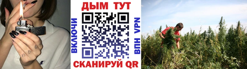 дарнет шоп Торопец Бошки Шишки Bruce Banner
